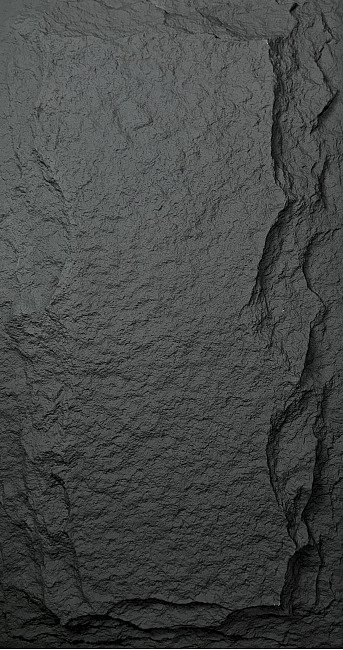 Панель декоративная HL6006 Грибной камень Pure black